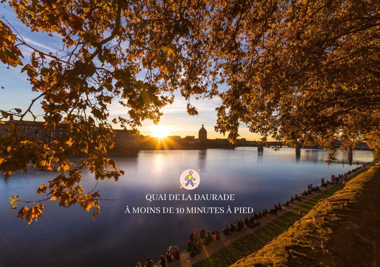 403 - Wonder Appart' - Vue Sur Garonne - Тулуза Экстерьер фото